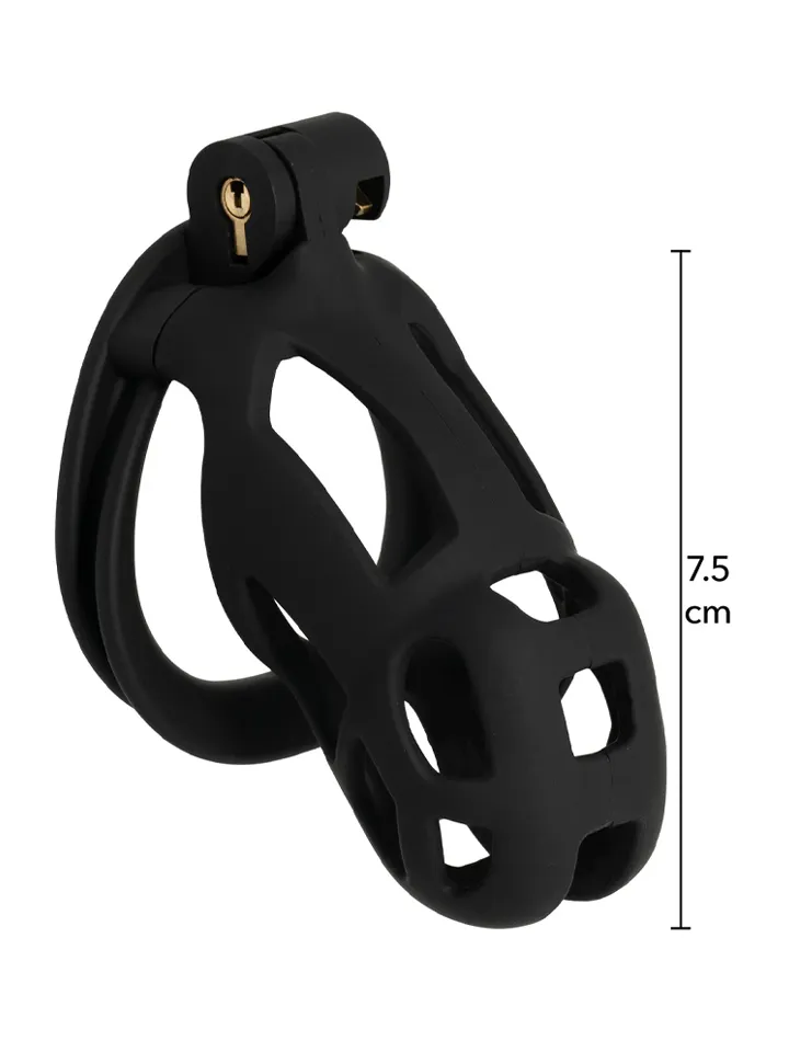 Penis Prison Cock Cage Regular - Kyskhetsbur 0