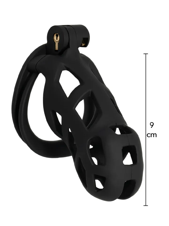 Penis Prison Cock Cage Long - Kyskhetsbur 0